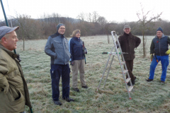 18_Obstbaum-003