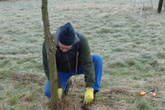 18_Obstbaum-009