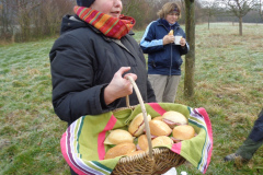 18_Obstbaum-019