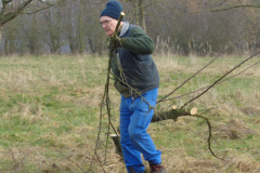 18_Obstbaum-025