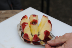 Apfel_Ho33