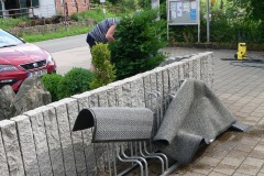 P1000090_Ho
