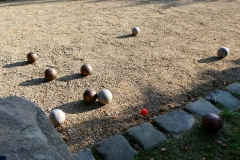 P1000510_Ho