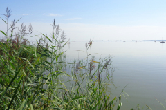 FahrrSteinhude_23_Ho