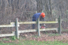 20160119_1156460672_img_1009