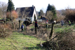20160222_1157922303_bild_6
