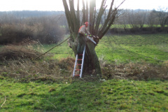 20160222_1285946898_img_1112