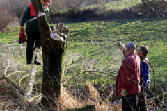 20160222_1307823326_bild_7