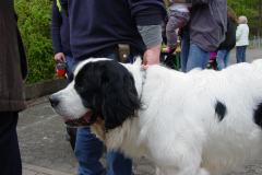 DSC03339